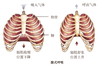 &#77;&#75;&#115;&#112;&#111;&#114;&#116;&#115;&#40;&#20013;&#22269;&#41;&#23448;&#26041;&#32593;&#31449;