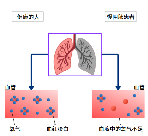 &#77;&#75;&#115;&#112;&#111;&#114;&#116;&#115;&#40;&#20013;&#22269;&#41;&#23448;&#26041;&#32593;&#31449;